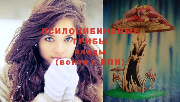 не бодяженный Алексин