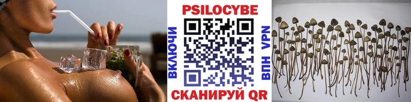 наркошоп  Орёл  Галлюциногенные грибы Cubensis 