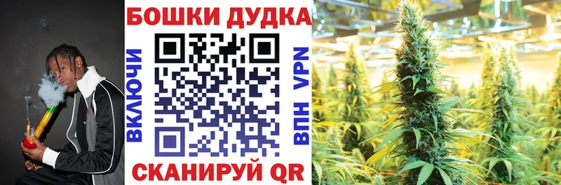 Канабис план  MEGA tor  Орёл 
